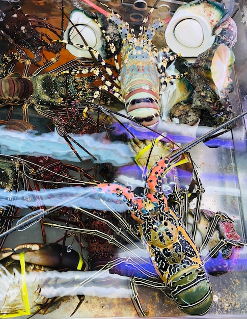 A mixed-media artwork blending digital and traditional techniques to depict a pivotal moment from the League of Legends lore (e.g. creation of the Star Guardians). The piece combines painting, digital layering, and physical elements to create a textured and visually striking composition.
