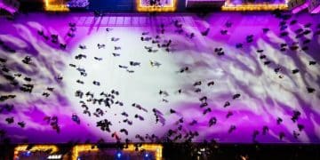 League of Legends Fan Music Showcase: US Talent in 2025 - Cover Image