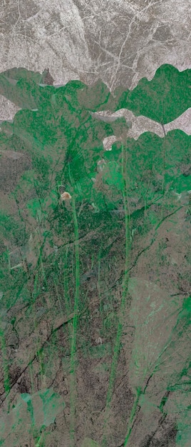 A detailed close-up of the minimap showing a jungler pathing, with different ward placements highlighted for different scenarios, such as detecting invades, tracking jungle movements, and providing vision for counter-ganking opportunities.