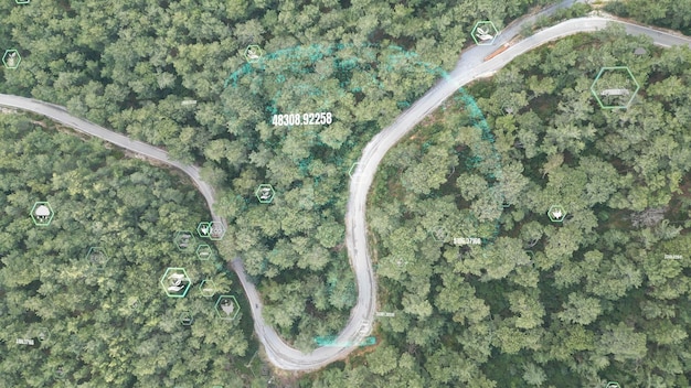 A diagram showing common mid-lane roaming paths, including strategic ward placements and potential enemy jungle encounters.