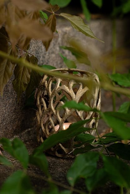 A close-up of a jungle item, such as Runic Echoes or Cinderhulk, showcasing its updated stats and passive effects as of Patch 14.25. The image highlights the specific changes to the item's attributes and their potential impact on jungler gameplay.