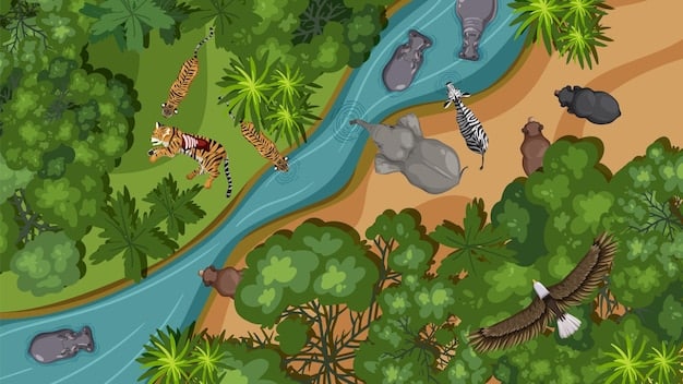 An overhead view of the Summoner's Rift jungle, showcasing various pathing options for junglers, marked with arrows indicating popular routes. Highlight specific jungle camps that are frequently targeted in the current meta.
