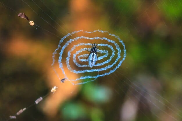 Elise diving towards an enemy laner with her Cocoon ability, setting up a successful gank. Show Elise's spider form and the web projectile hitting the target champion.