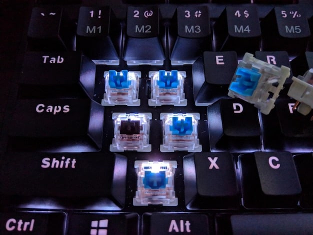 The Truth About Mechanical Keyboard Switches: Choosing the Right One for Your Playstyle